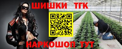 гидра Татарск